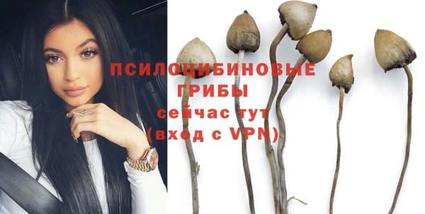 меф Пестово