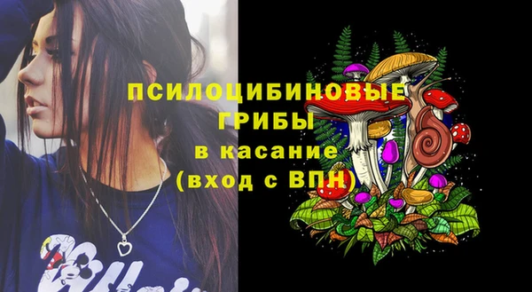 СК Пересвет