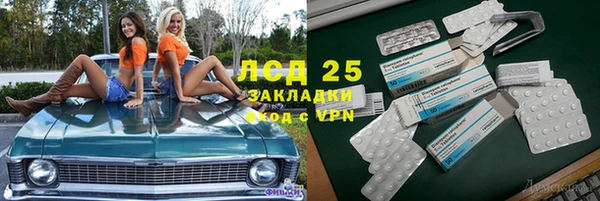 СК Пересвет